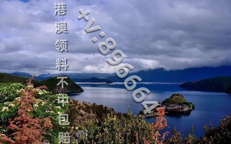 生活资讯 第308页