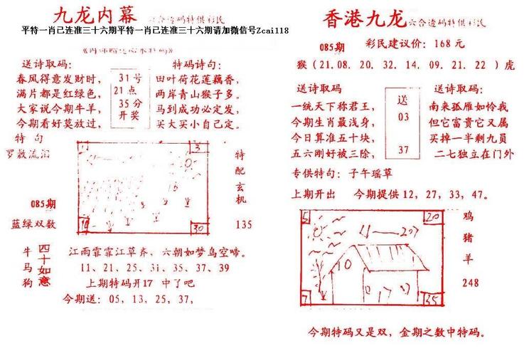 九龙网新奥门马;澳门九龙图库永远领先