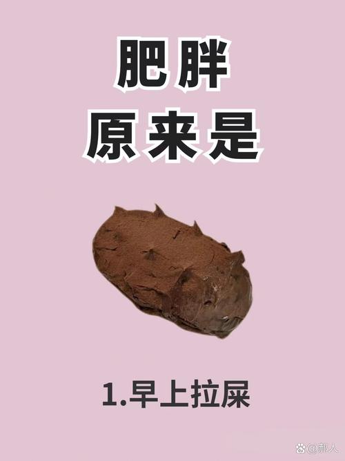 新澳今日图片分析:吃得胖是营养不良吗