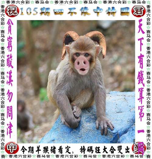 澳彩资料免费提供资料:澳门高校开始抢人