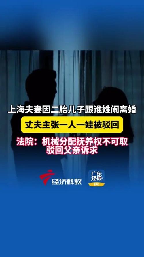 新澳今日图片分析:为二胎跟谁姓离婚