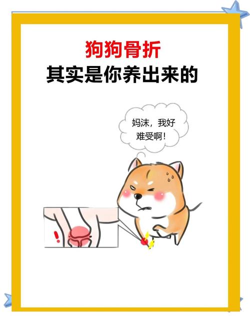 新澳今日图片分析:被狗主人殴打致骨折